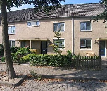 Kerkuil 59 - Photo 4