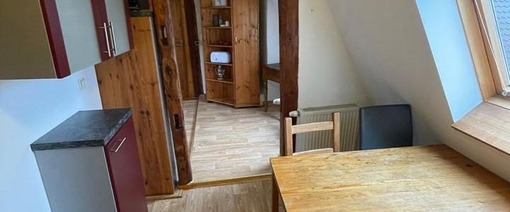 3-Zimmerapartment mit zusätzlichen Hobbyräumen in der Gustavstraße - Foto 1