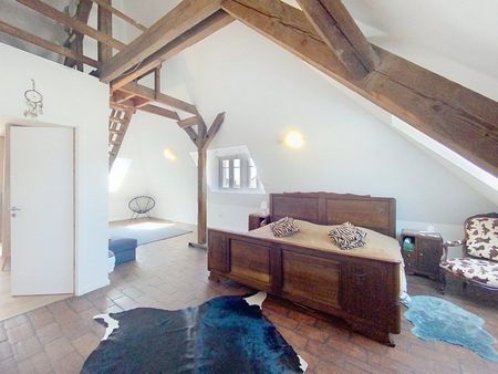 Maison 9 pièces à Strasbourg - Photo 3