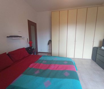 Trilocale Strada Farnese-Vigheffio 35, Montanara - Cinghio, Parma - Photo 6