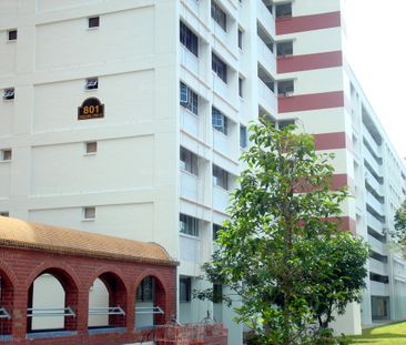 Blk 801 Woodlands Street 81 (Woodlands), HDB 5 Rooms - For Rent - Photo 3