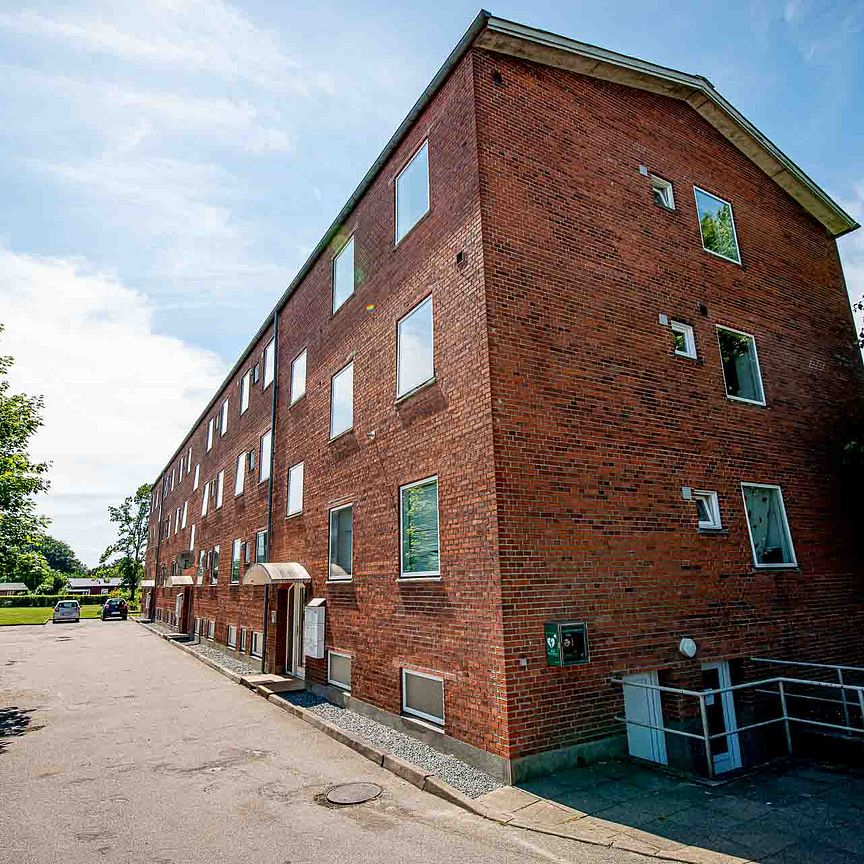 Dammen, 1, st.tv., 6330, Padborg - Foto 1