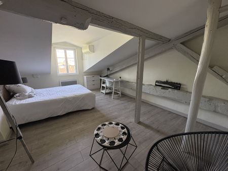 Location Appartement 1 pièce 16m² AGEN 47000 - Photo 3