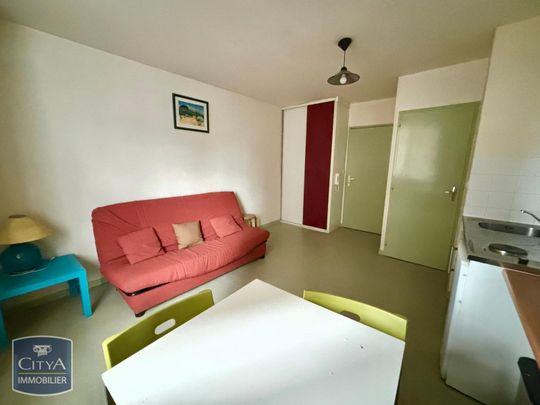 Location Appartement 1 pièce 19m² NANTES 44200 - Photo 1