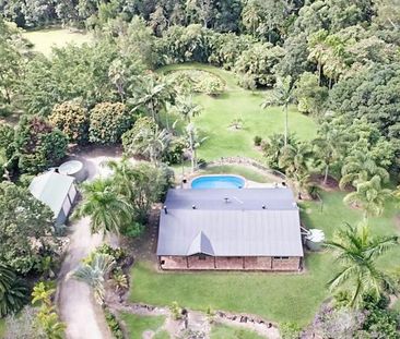 Low-Set Acreage Home with Pool and Shed - Photo 3