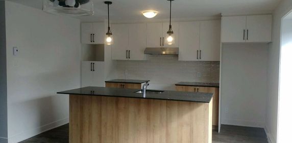 apartement 4 1/2, neuf ,lafontaine - Photo 2