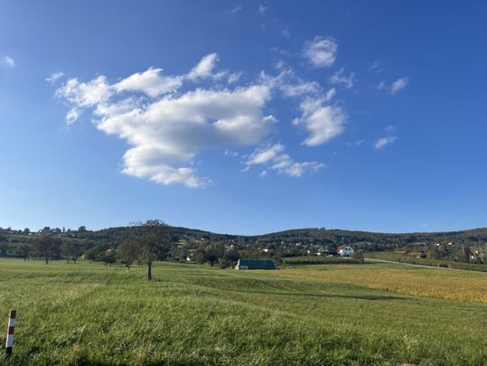 Erstbezug: Doppelhäuser/Reihenhäuser in der wunderbaren Umgebung Geschriebenstein - Photo 1