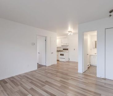 Appartement 3 ½ à louer Sainte-Foy / Sillery juillet 2026 - Photo 1