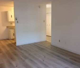 1 bedroom 1 bathroom beautiful cozy apartment for rent Burnaby - Photo 3