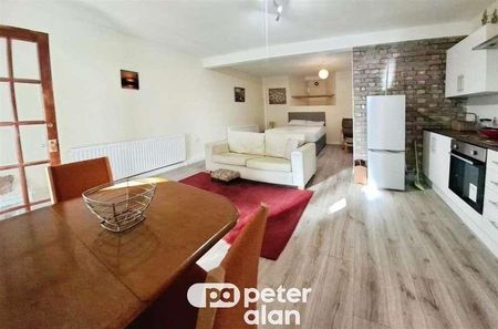 Hanover Street, Swansea, SA1 - Photo 4