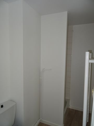Location Appartement 1 pièce 24m² ORLEANS 45000 - Photo 4