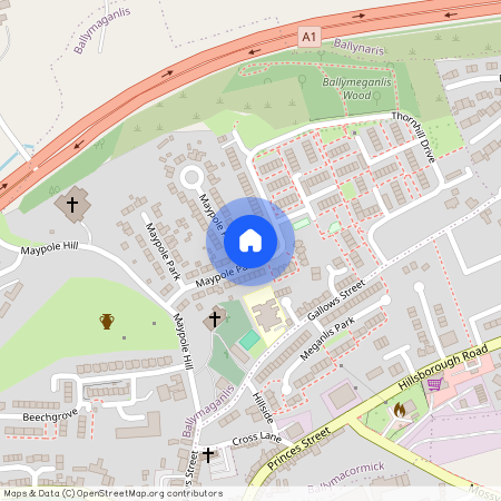 64 Maypole Park, Dromore, BT25 1SH