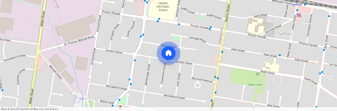 36A Jocelyn Street, NSW 2162, Chester Hill