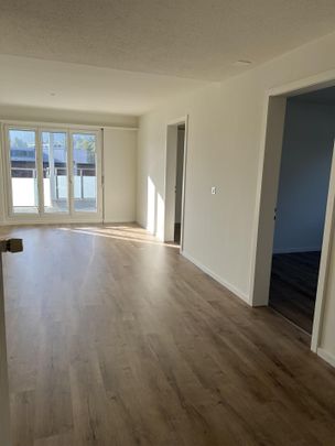 4 1/2 Zimmer Attika Wohnung im Zentrum von Goldau - Foto 1