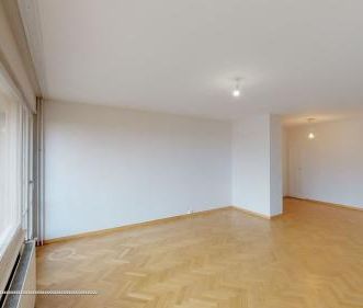 Villa familiale à Troinex avec terrasse et petit jardin - Foto 3