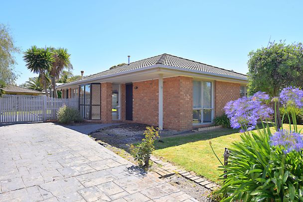 13 Hannagan Street Aspendale Gardens VIC - Photo 1