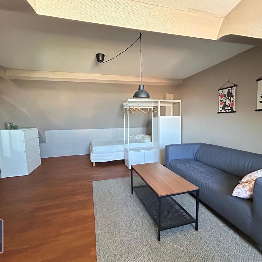 Location Appartement 1 pièce 29m² TOURS 37000 - Photo 1