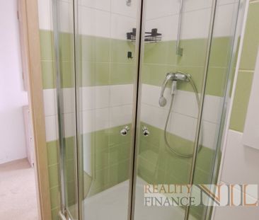 Pronájem bytu 1+1 38 m², Šimerova 459, Plzeň - Photo 6