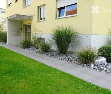 3.5 Zimmer-Wohnung, lichtdurchflutet, ruhige Lage am Waldrand - Foto 6