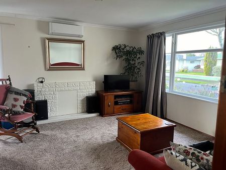 Home in Awapuni - Photo 2