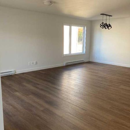 4 1/2 à louer avec espace bureau - Photo 4