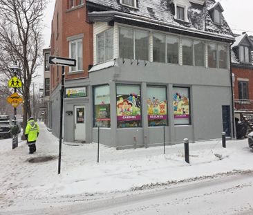 Appartement - 3815 Rue Drolet - Photo 5