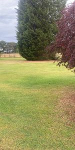 1 bedroom cottage to rent - Photo 4