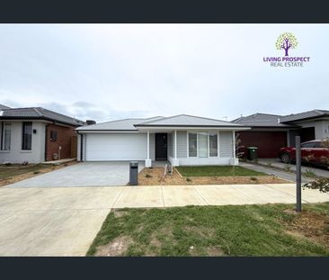 8 Swift Street, Charlemont, Vic 3217 - Photo 2