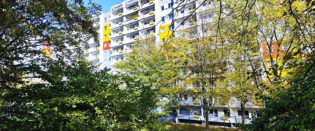 3-Raum-Wohnung - Foto 1