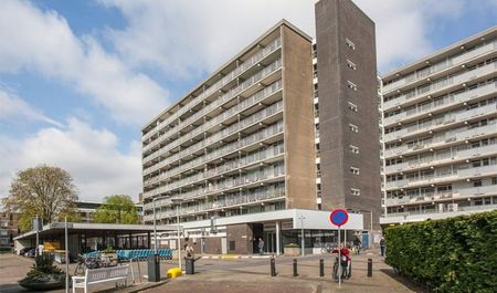 Volendamlaan 0ong, 2547 CH' Den Haag, Nederland - Foto 4