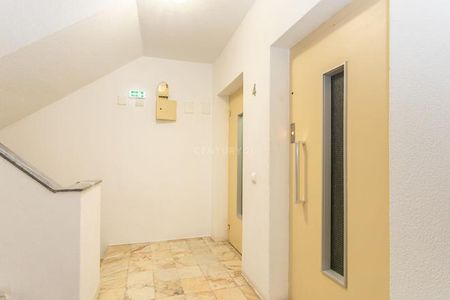 Apartamento T3 - Photo 5