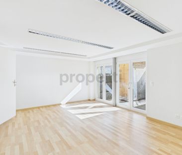 Frisch renovierte 4.5-Wohnung mit grosser Terrasse an ruhiger Wohnl... - Foto 3