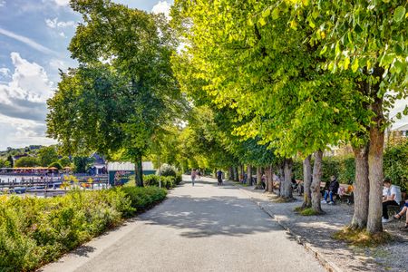 Schöne möblierte Wohnung in Feldafing - Photo 3