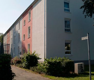 3 Zimmerwohnung ab März 2025 zu vermieten - Photo 5