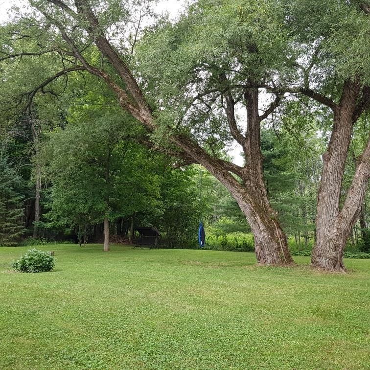 Jolie maison campagnarde à louer à Magog - Photo 1