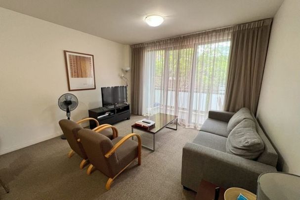 Spacious Fully Furnished Apartment in Popular East End! - Photo 1