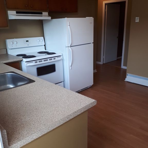 3 1/2 Secteur Universitaire - Photo 1