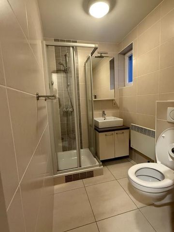 GEMEUBELD APPARTEMENT 1 SLAAPKAMER - Photo 5