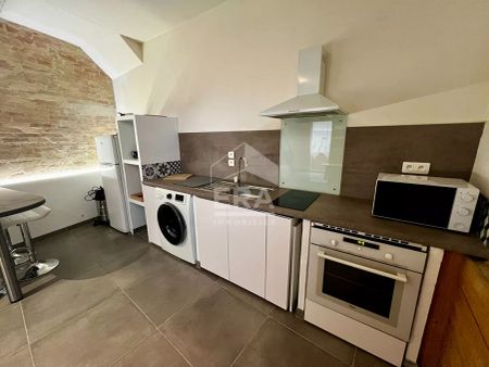 A LOUER Entraigues Sur La Sorgue Appartement meublé 2 pièce(s) 40 m² - Photo 3