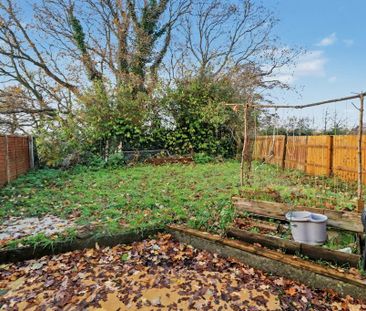 3 bedroom semi-detached house to rent - Photo 3