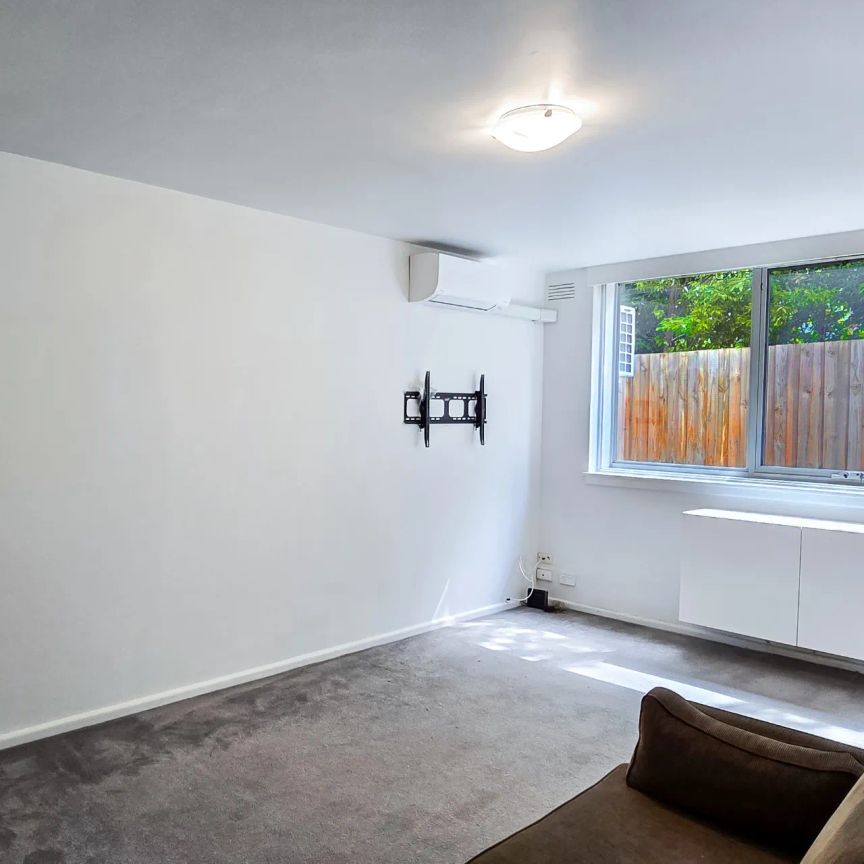 Sunlit Ground-Floor Living in a Prime Hawksburn Pocket - Photo 1