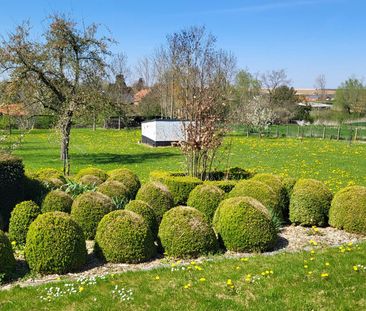 Prachtige bungalow in het lieflijke Neerlanden, temidden van de velden - Photo 5