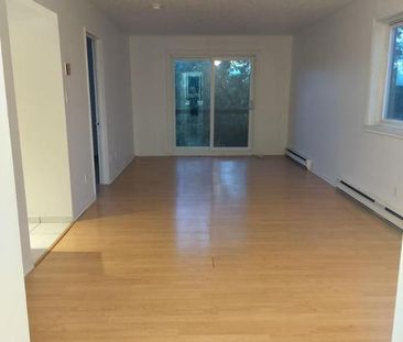 Appartement 1 chambre — 1 mois gratuit ! - Photo 4