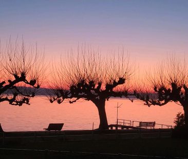 Zwischenmiete Seeblick bis Mitte Juni - Photo 1