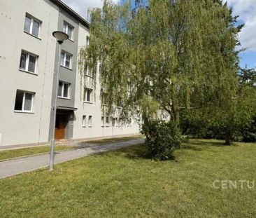 Pronájem moderně zařízeného bytu 2+1, 55 m - Photo 4