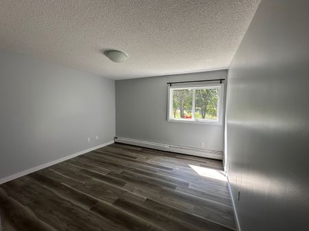 RENOVATED 1-Bedroom Apartment - SMALL PET FRIENDLY! - Photo 5