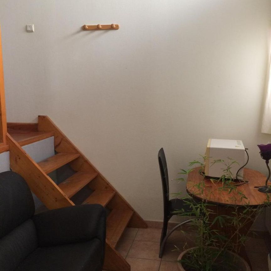 Location Appartement 1 pièce 24m² LYON 2ème - Photo 1