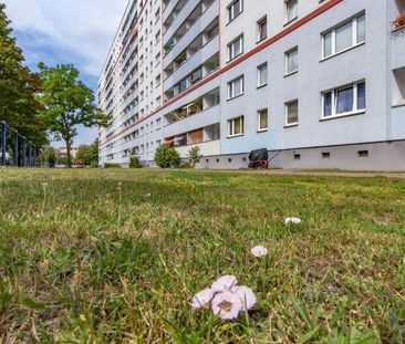 Viele Einkaufsmöglichkeiten und die Straßenbahn in der Nähe... - Photo 6