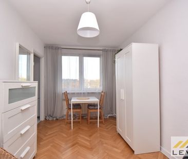 Centrum Południe, Józefa Chojnickiego, 13B, 41-800 - Photo 3