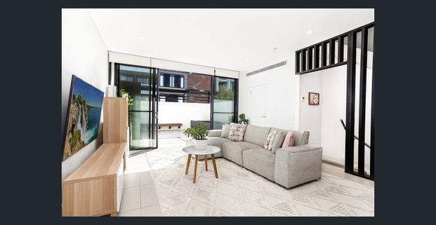 Spacious Family Terrace Moments from Botany Village - Photo 1